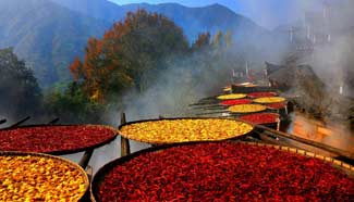 Scenery of ancient village in Wuyuan County, east China