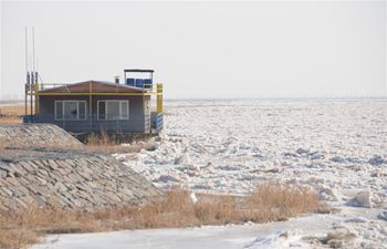 Major part of China's Yellow River frozen solid