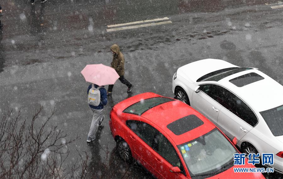 （环境）（9）北京迎来春雪