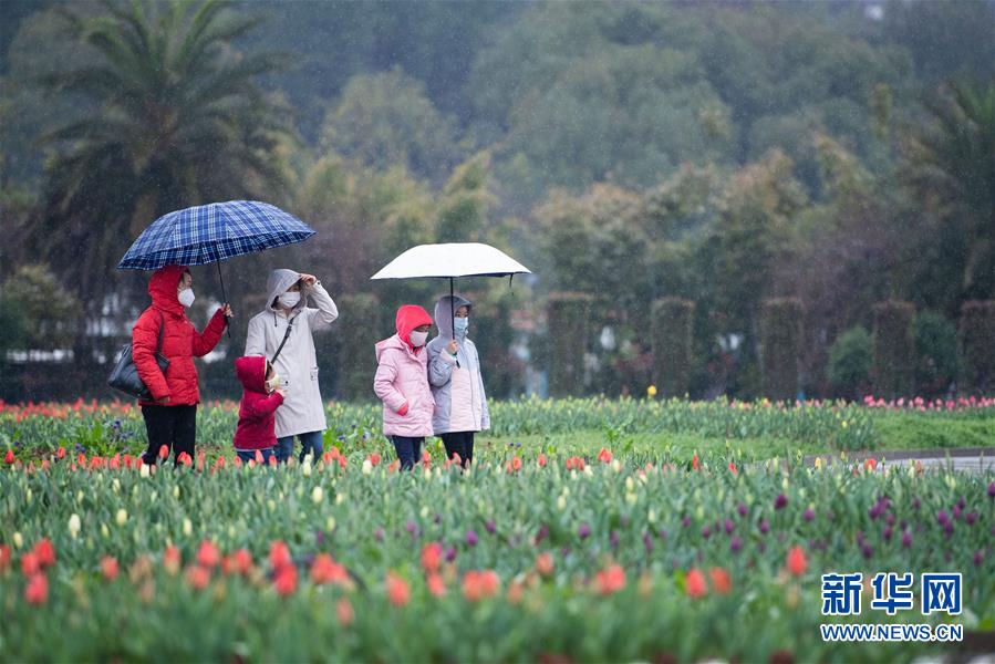 （图文互动）（4）湖南：响应降级 经济提速 防控不松