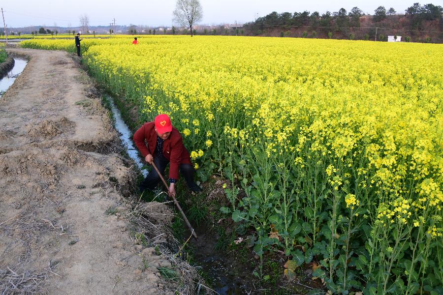 贫困户老杨的人生“三级跳”