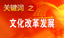 赵少华：文化改革发展在六方面迈上了新台阶