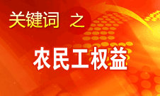 杨志明：将积极稳妥地推进农民工进城落户