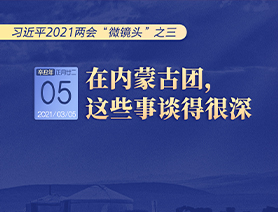 习近平2021两会“微镜头”之三 3月5日 在内蒙古团，这些事谈得很深